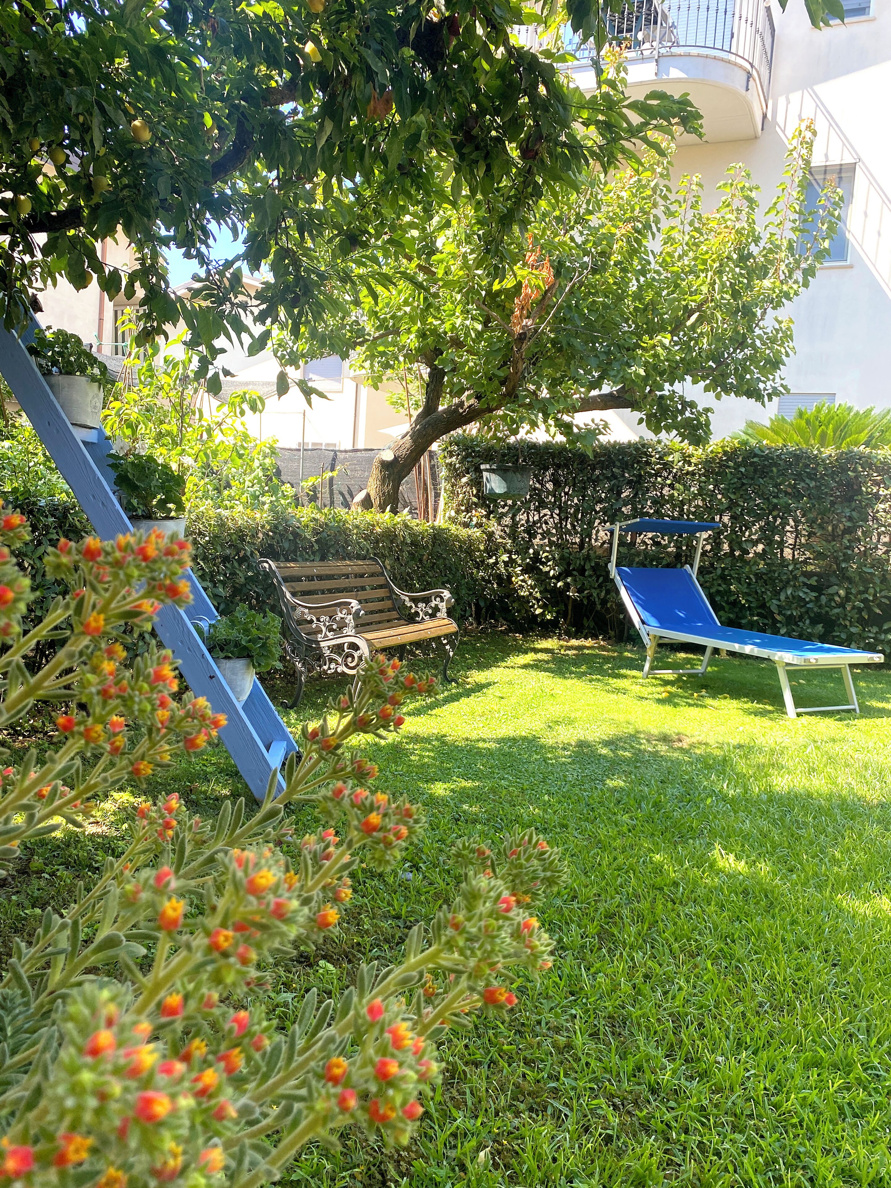 A garden with a bench, a tree, and a building in the background.