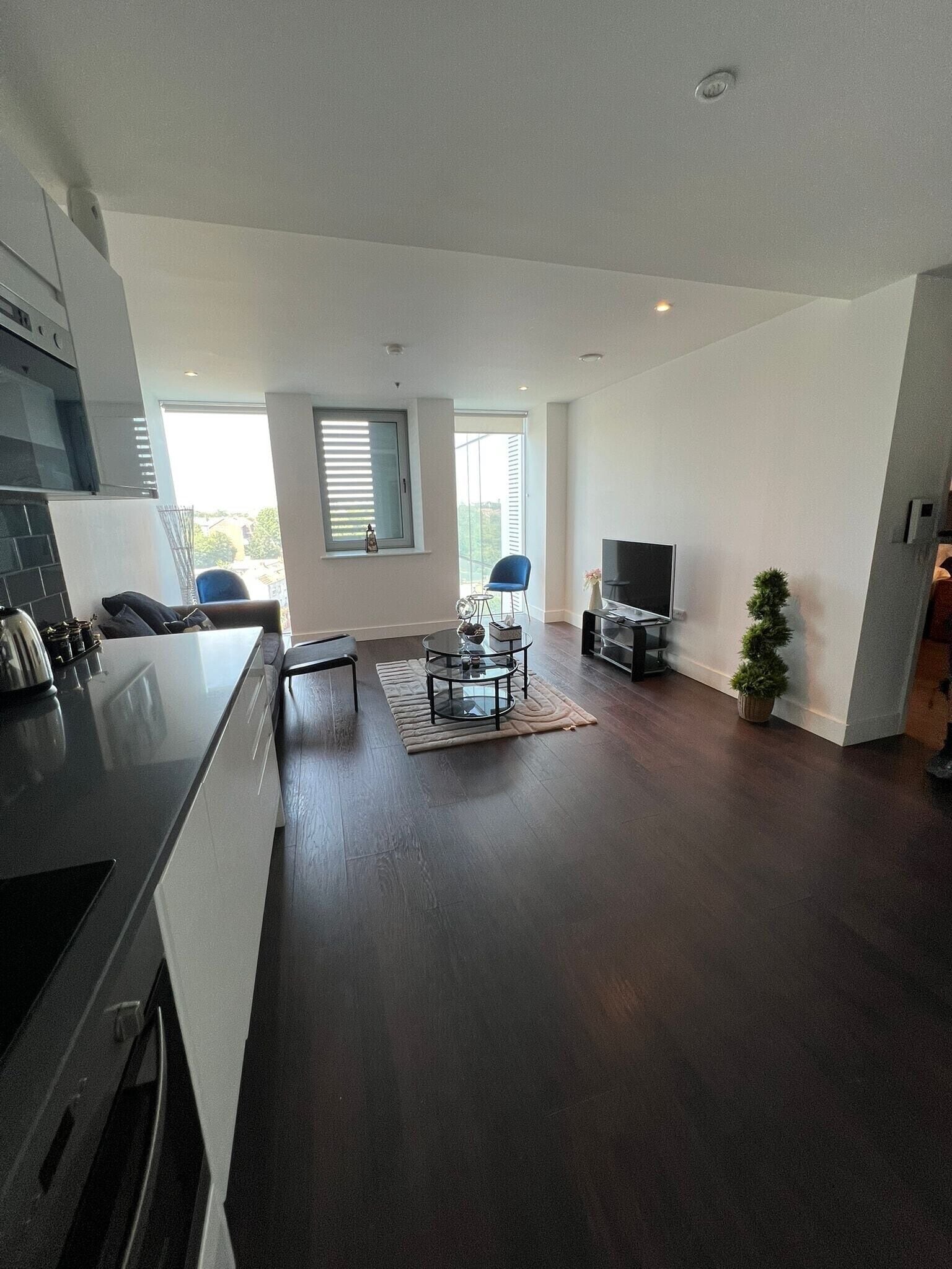 A modern kitchen with a dining area, a TV, and a small potted plant.