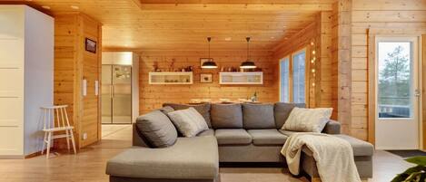 TV, fireplace, stereo