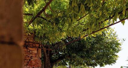 Maison Pourpre | Sleeps 10 | Burgundy | Close to the village