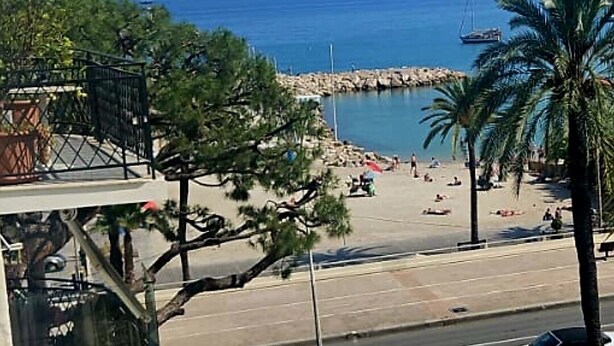 Eine Küstenansicht mit Strand, Palmen und blauem Himmel.