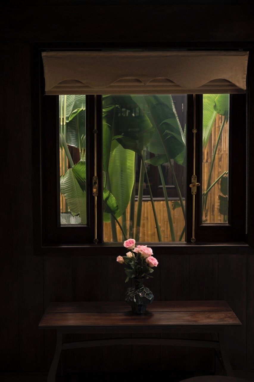 Una habitación de madera oscura con ventana que da a un jardín.
