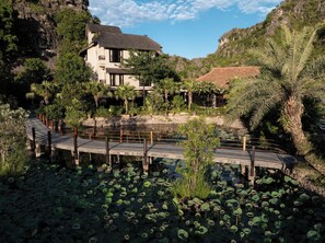 A house with a thatched roof, surrounded by lush greenery and a pond with lily pads.