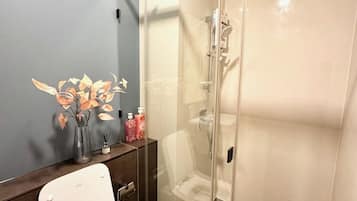 Shower, hair dryer, bidet, towels
