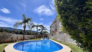 Uma piscina com borda curva, rodeada por um gramado bem cuidado e palmeiras.