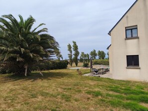 A building with a flat roof, a small window, and a grassy area with a palm tree. - House a 5-minute walk from the ocean (Plougoulm)