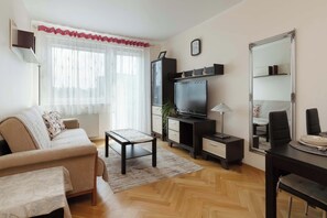 Fernseher, Arbeitsbereiche