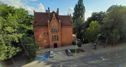 W Sercu Olsztyna z Widokiem na Historię