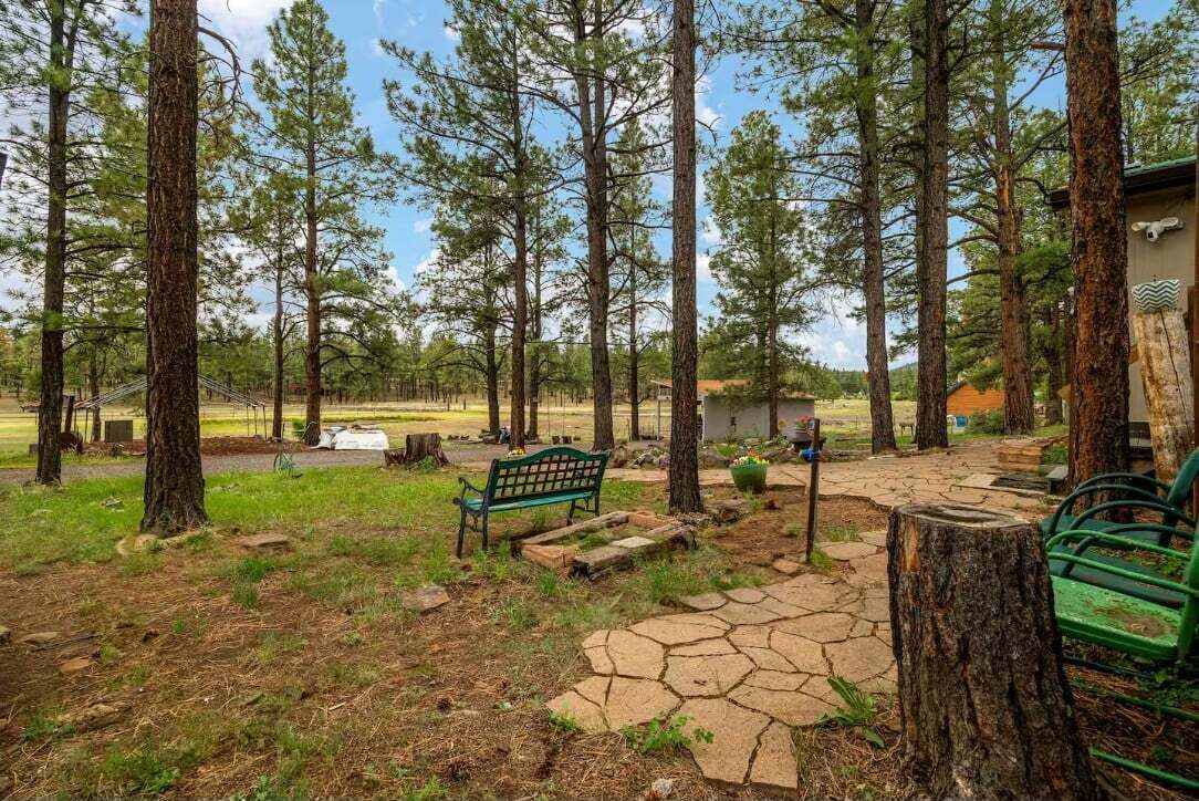 Front yard
