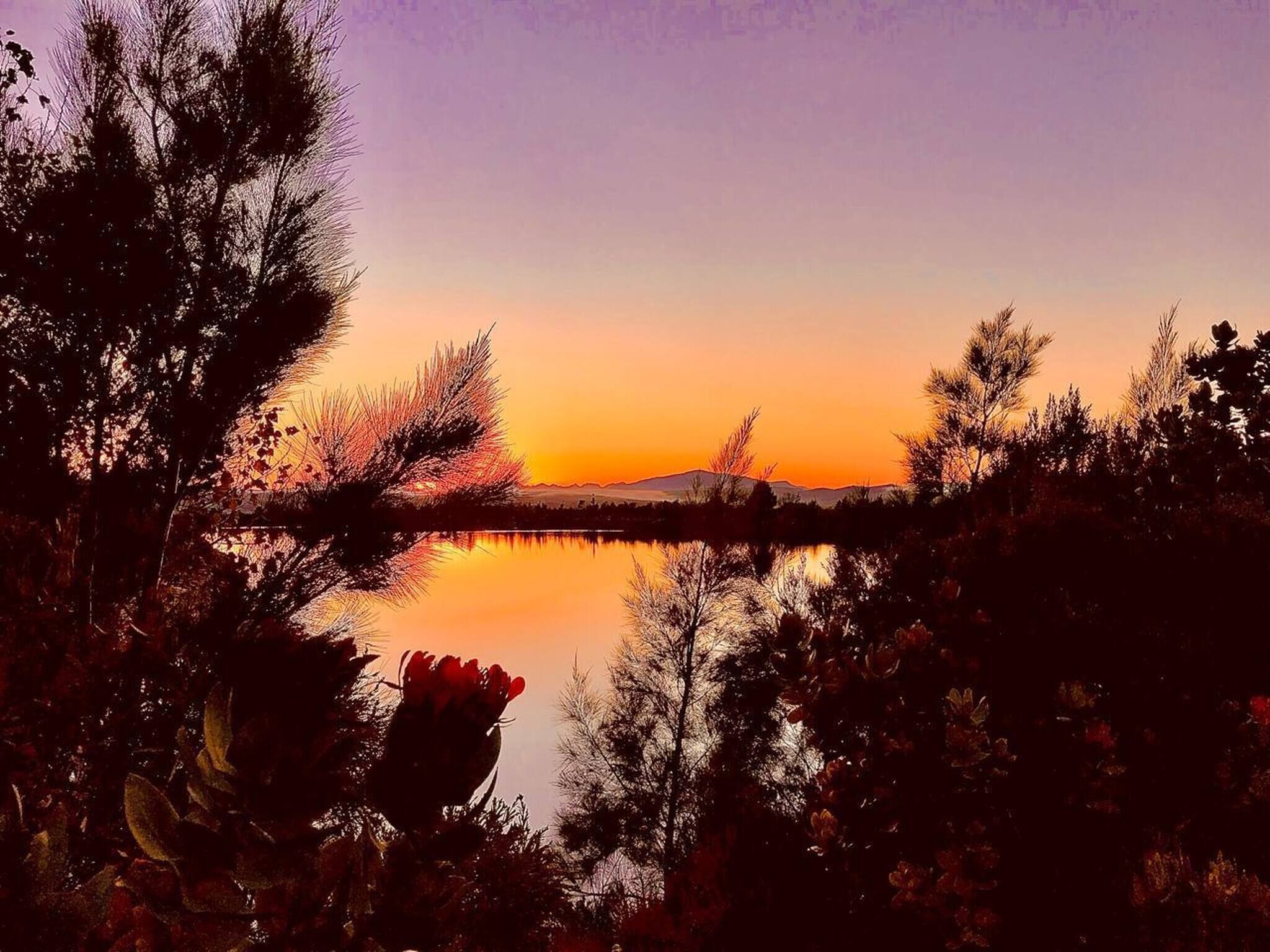 A sunset over a body of water with trees in the foreground.