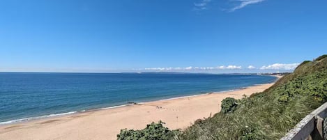 ビーチ