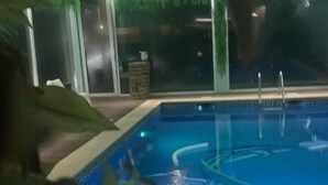 Ein Hallenbad mit klarem Wasser, umgeben von grünem Kunstrasen und Pflanzen.