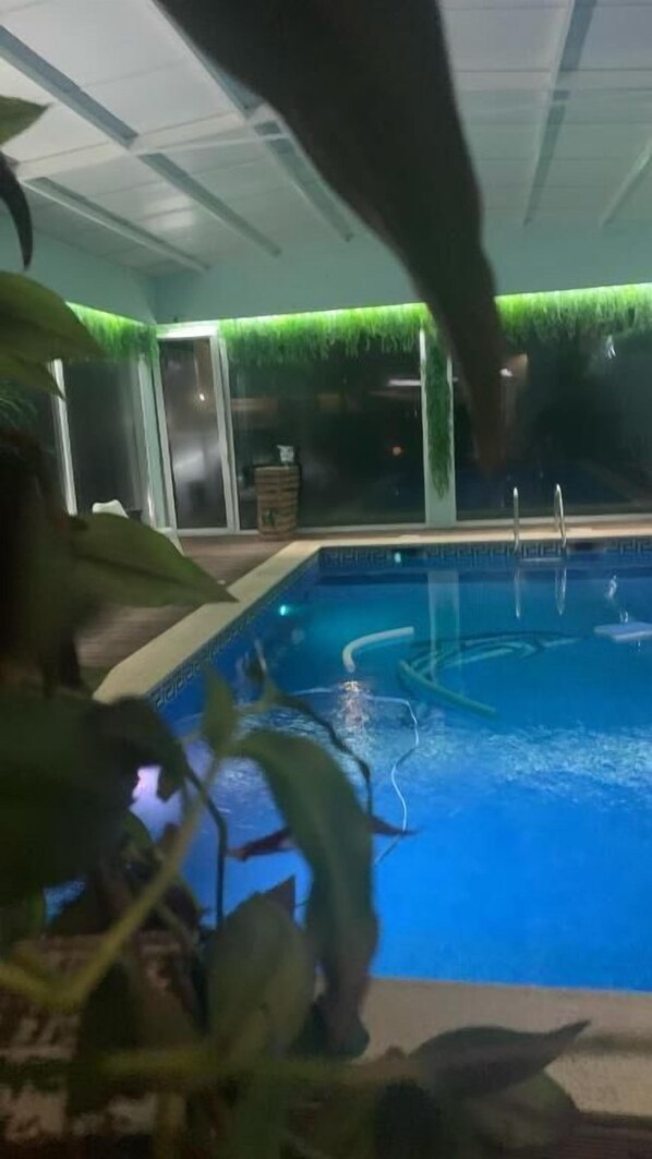An indoor pool with clear water, surrounded by green artificial grass and plants.