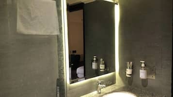 Shower, hair dryer, bidet, towels