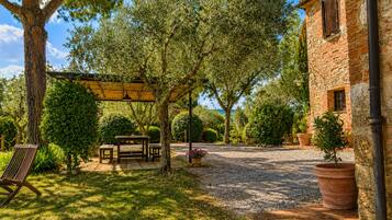 Un espace extérieur rustique agrémenté d’une pergola, d’une table en bois et d’un banc.