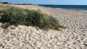 A sandy beach with footprints, a clear blue sky, and the ocean in the background. - Location, Location, Location! (Westerly)