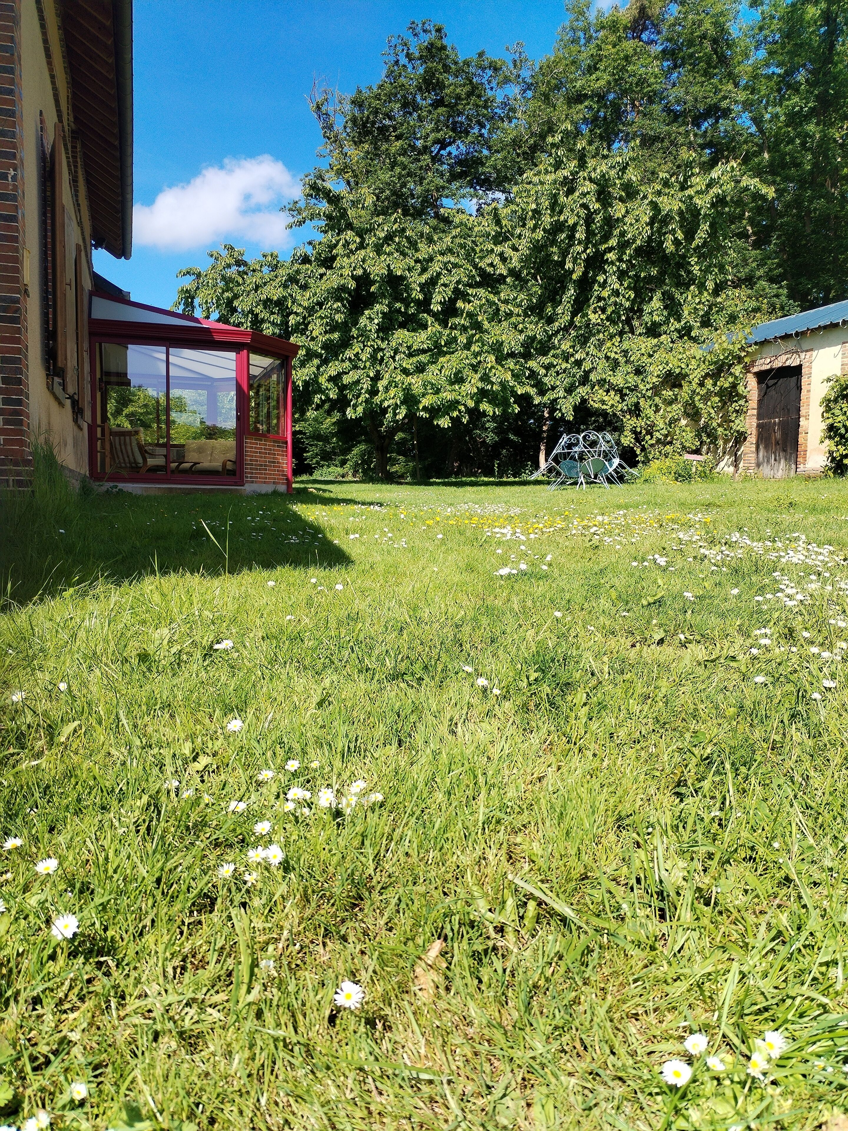 A grassy area with a glass-enclosed patio, a large tree, and a building with a red roof.