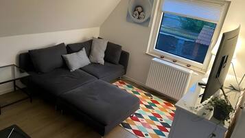 Fernseher, Kamin