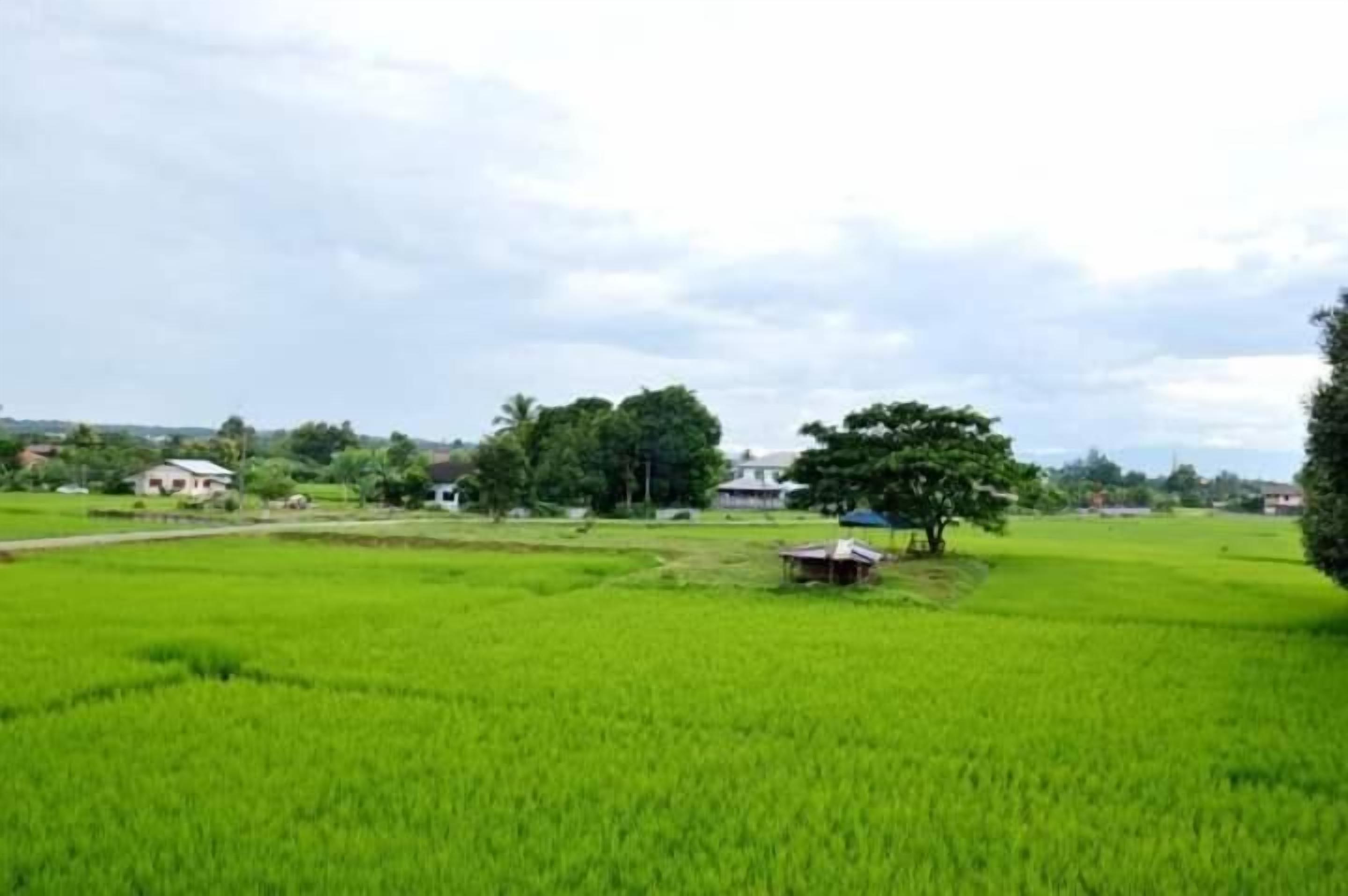 Biệt thự phong cách cổ điển, ban công, quang cảnh resort | Khác