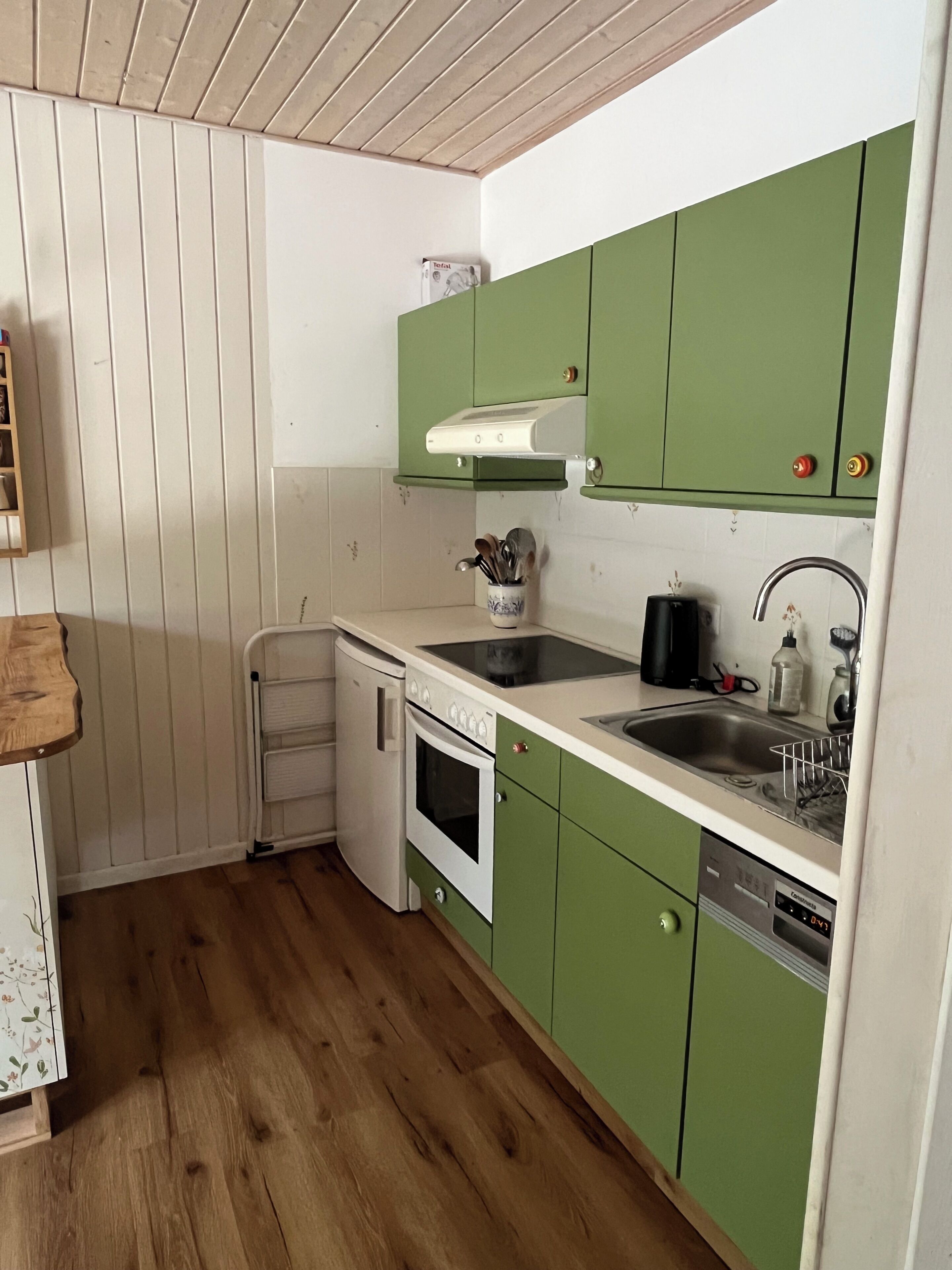 A compact kitchen with green cabinets, a white countertop, a built-in oven, a dishwasher, and a sink.