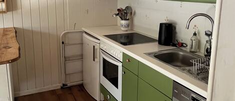 A compact kitchen with green cabinets, a white countertop, a built-in oven, a dishwasher, and a sink.