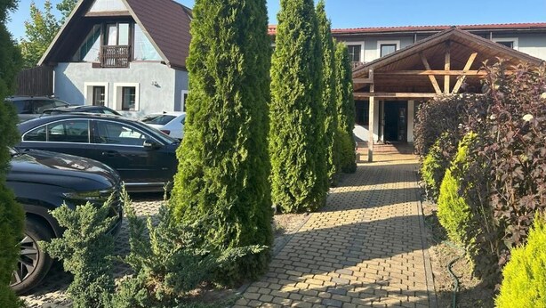 Una propiedad residencial con camino de entrada pavimentado, altos árboles de coníferas y una casa de dos plantas con techo inclinado.