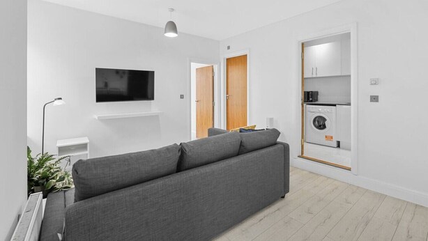 Ein modernes Wohnzimmer mit grauem Sofa, einem Flachbildfernseher, einer Pendelleuchte, einer Pflanze und einem Waschbereich mit Waschmaschine.