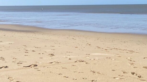 Una playa arenosa con huellas, cielo despejado y mar tranquilo.