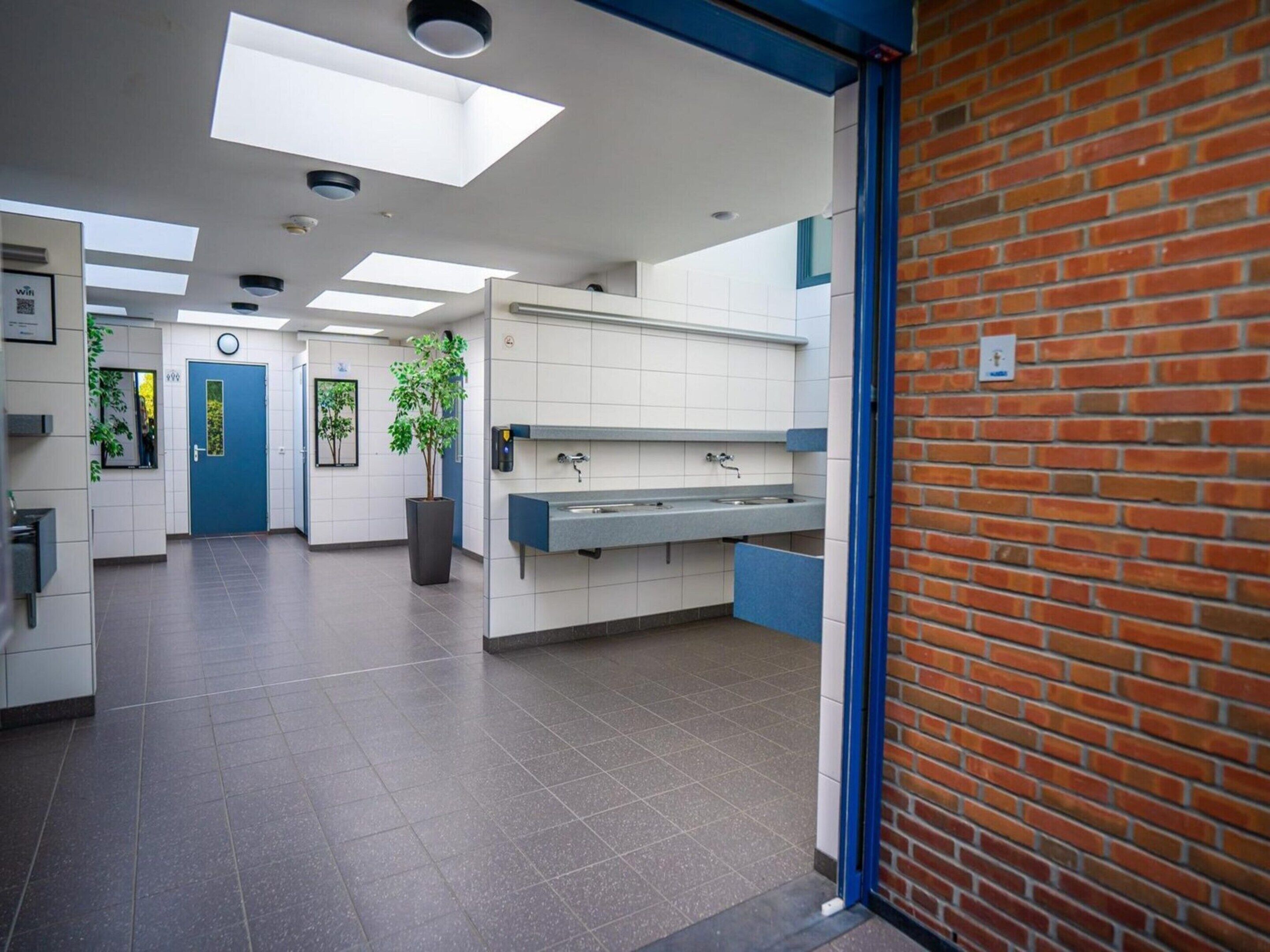 Een moderne toiletruimte met een blauwe deur, een kamerplant, een wastafel en een betegelde vloer.