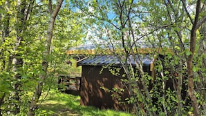 Una cabaña de madera con techo de metal, rodeada de árboles y pasto.