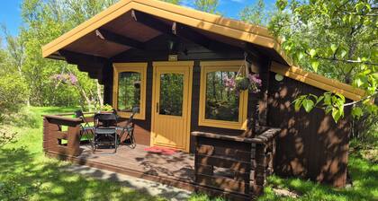 Cozy Cottage at the roots of the mountain Hekla.