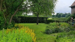 A well-maintained garden with a variety of plants and a hedge in the background.