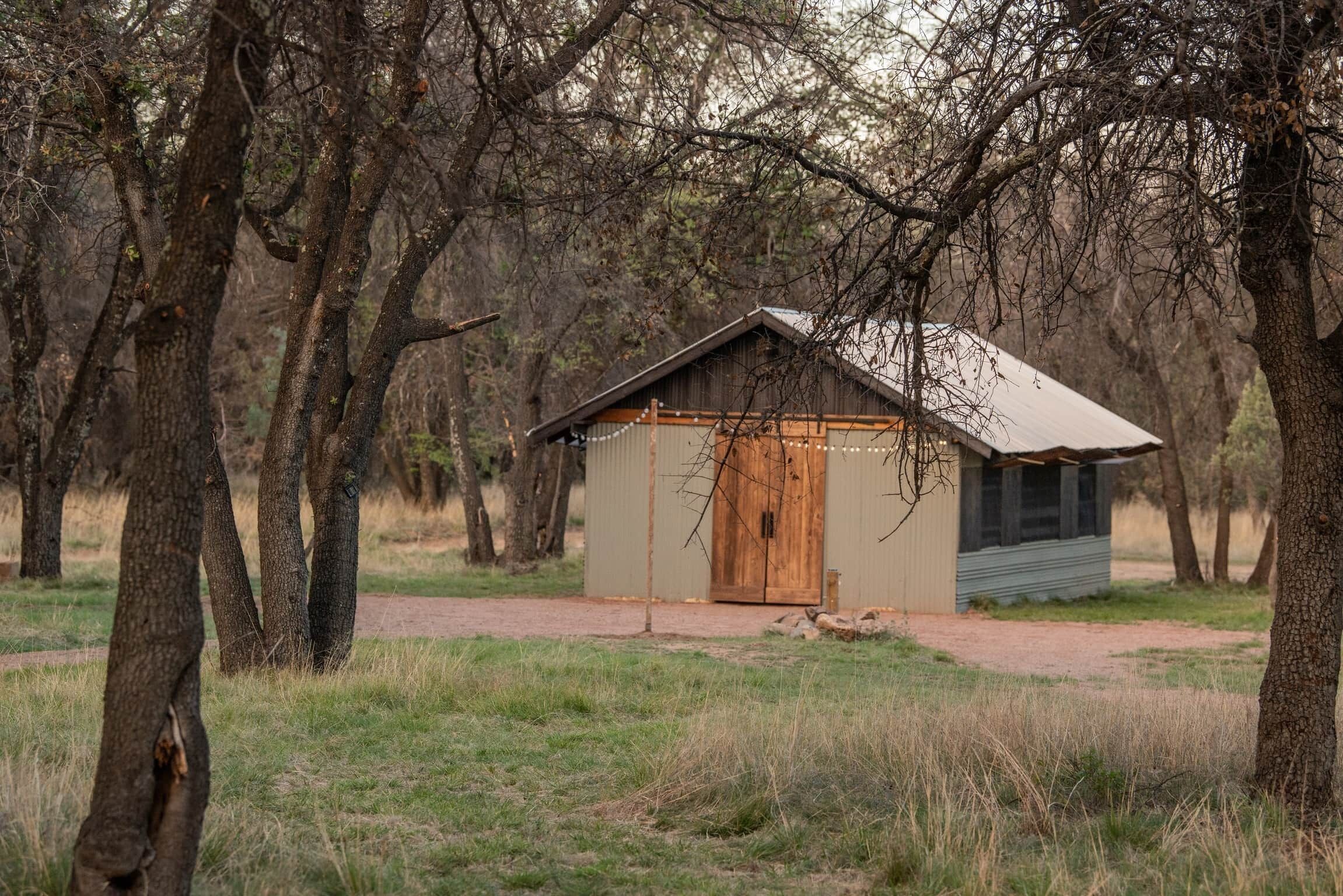 Une cabane rustique avec une porte en bois et un toit en métal, entourée d’arbres et d’une pelouse.