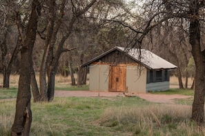 A rustic cabin with a wooden door and a metal roof, surrounded by trees and grassy ground.