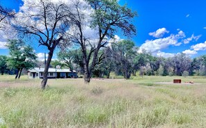 A house with a porch, surrounded by trees and open grassy fields.