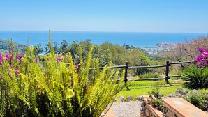 A coastal landscape with a clear view of the sea, lush greenery, and a wooden fence. - Casale Regina - Marina di Camerota (Marina di Camerota)