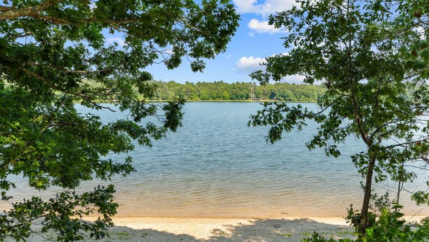 Un lac avec une plage de sable, bordé d’arbres.