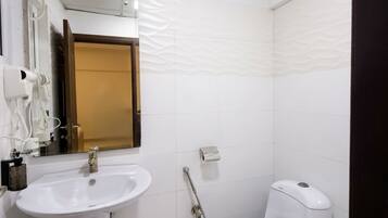 Shower, hair dryer, bidet, towels