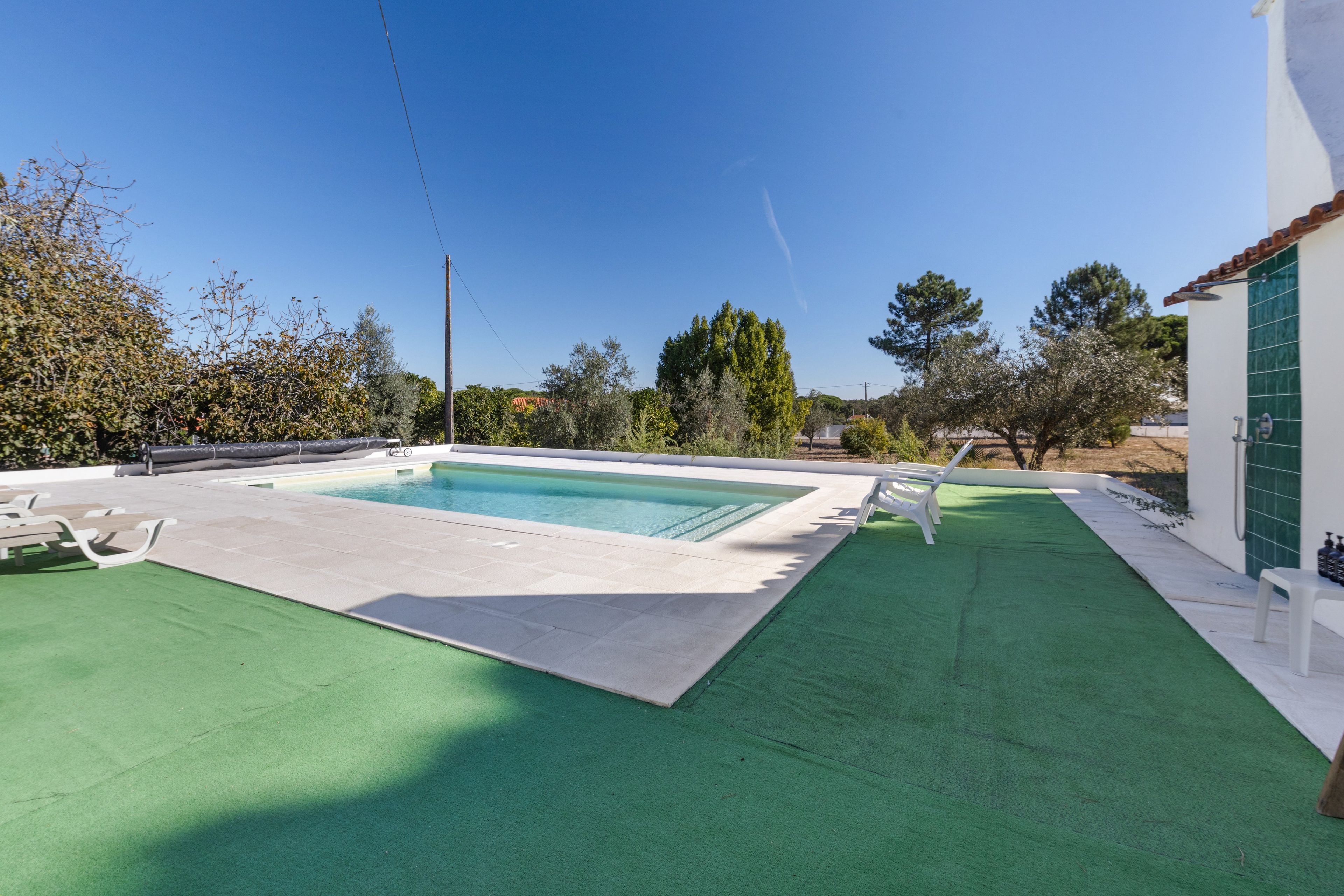 En swimmingpool med en grøn terrasse, omgivet af træer og en blå himmel.