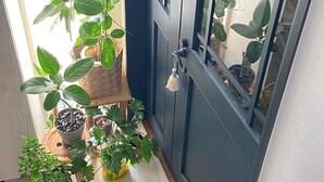 A dark blue door with a glass panel, potted plants on a wooden surface, and a textured rug.