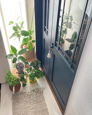 A dark blue door with a glass panel, potted plants on a wooden surface, and a textured rug.