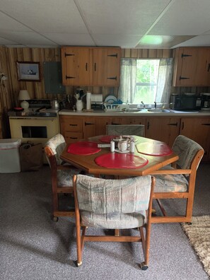 Fridge, microwave, oven, stovetop - 1BR Cabin near Tahquamenon River (Newberry)