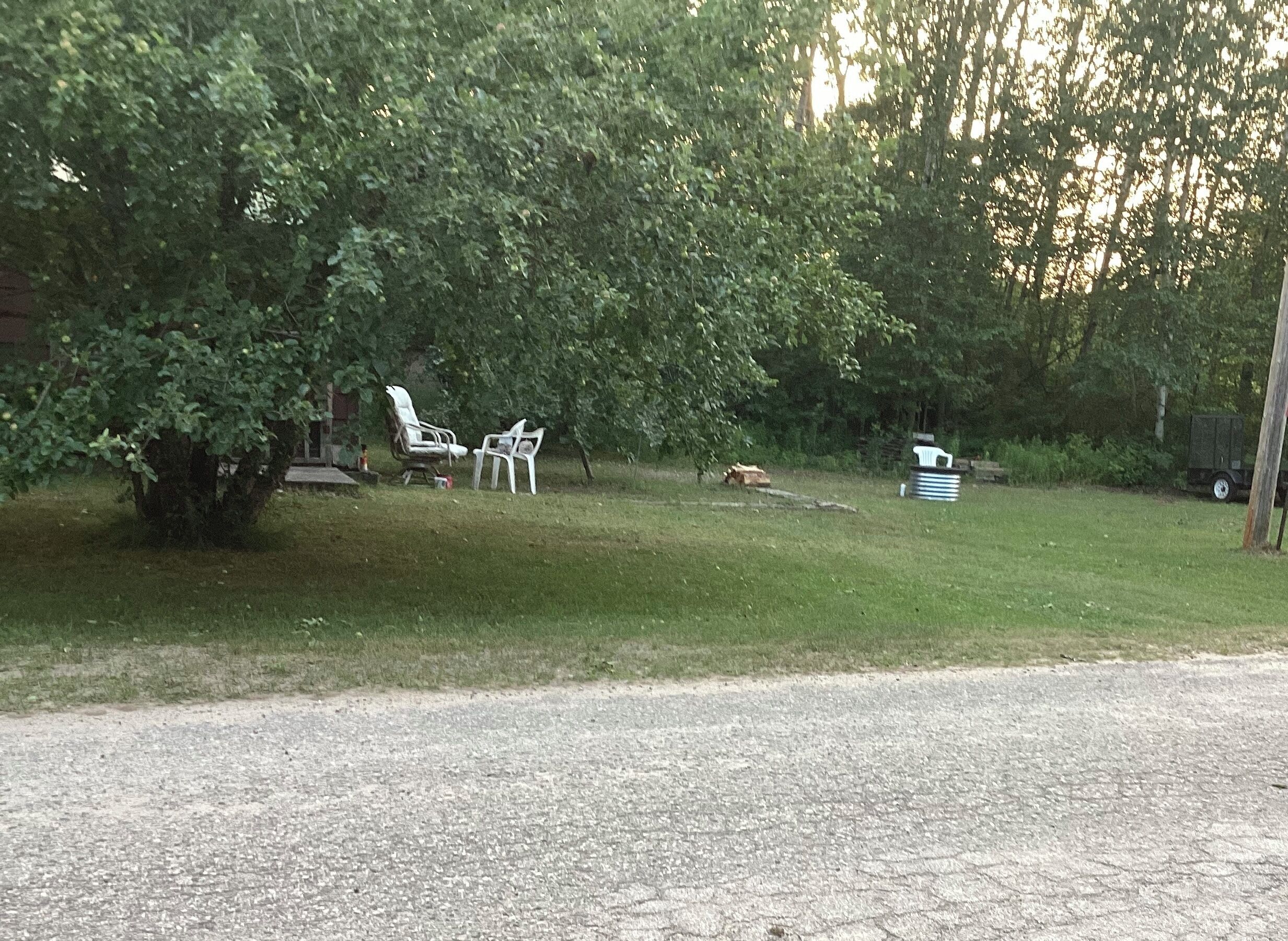 En græsplæne med en anlagt sti, et træ og to hvide plastikstole.