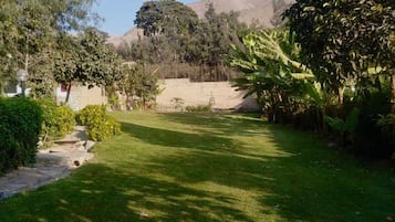House | 3 bedrooms, high-speed internet