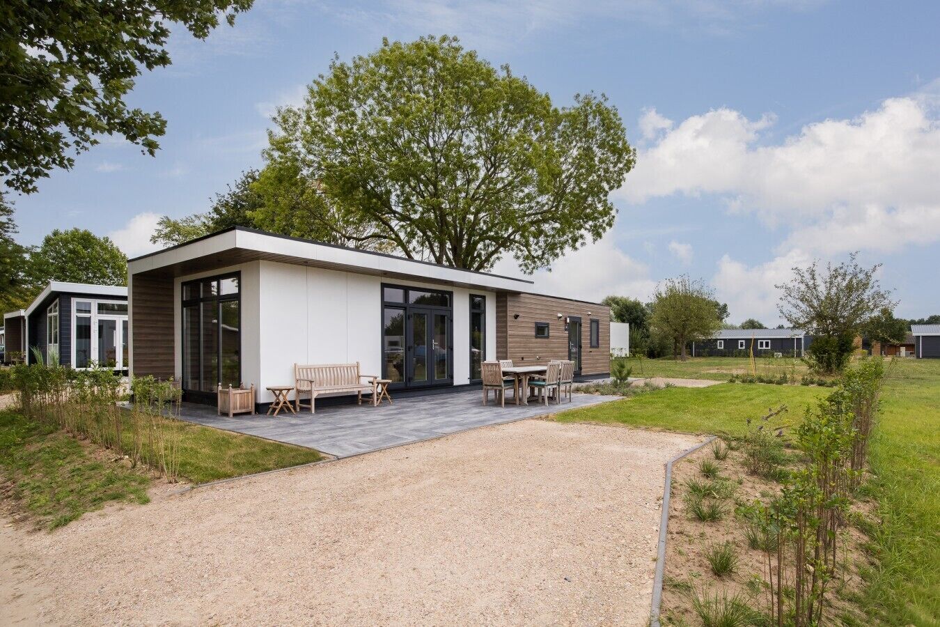 Une maison moderne dotée d’un patio, d’un coin repas et d’un grand arbre en arrière-plan.