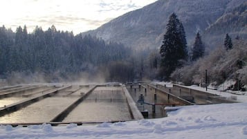 Un espace extérieur enneigé avec une piscine et une montagne boisée en arrière-plan.