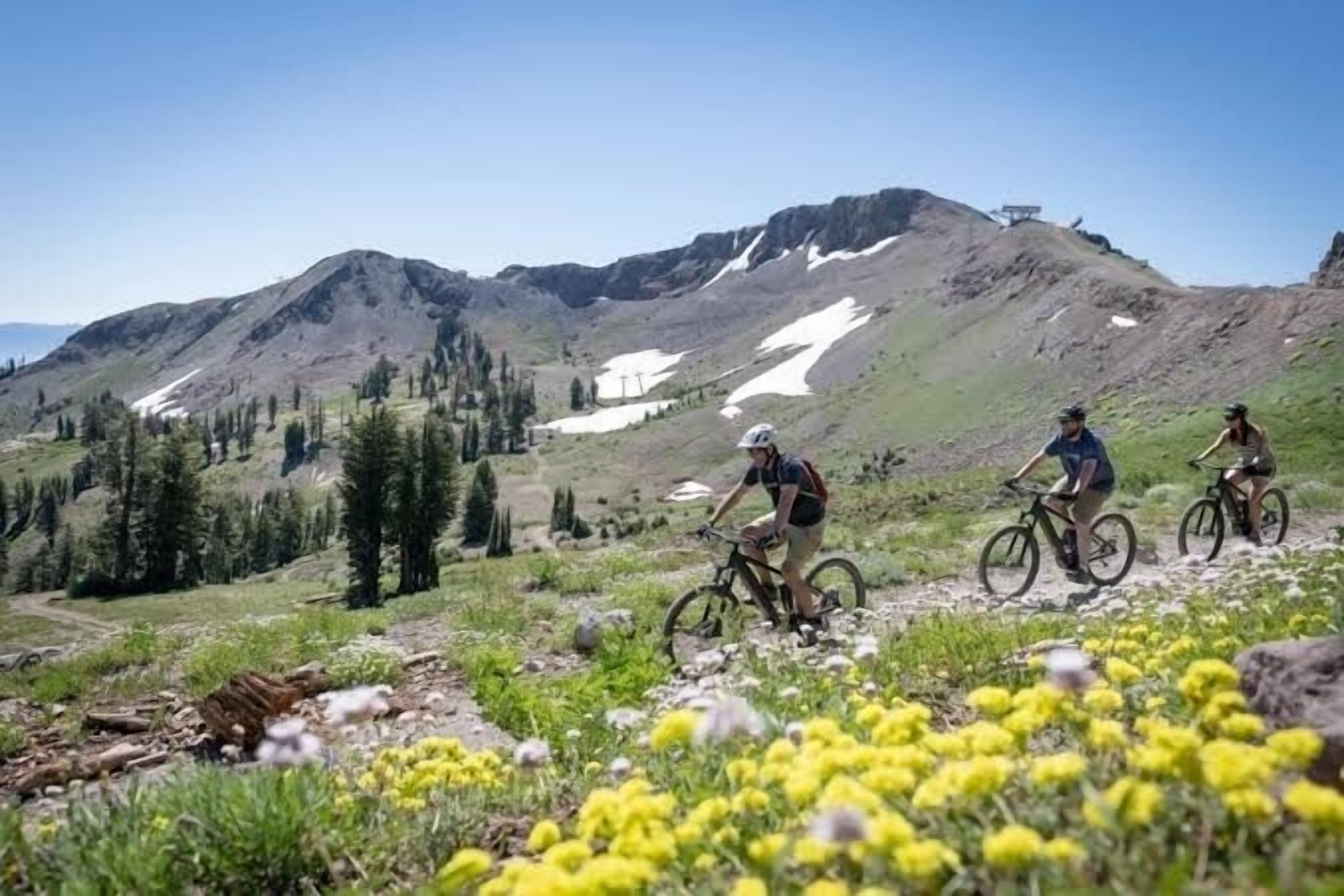 Pista de bicicleta de muntanya amb ciclistes, cel clara i muntanyes nevades al fons.