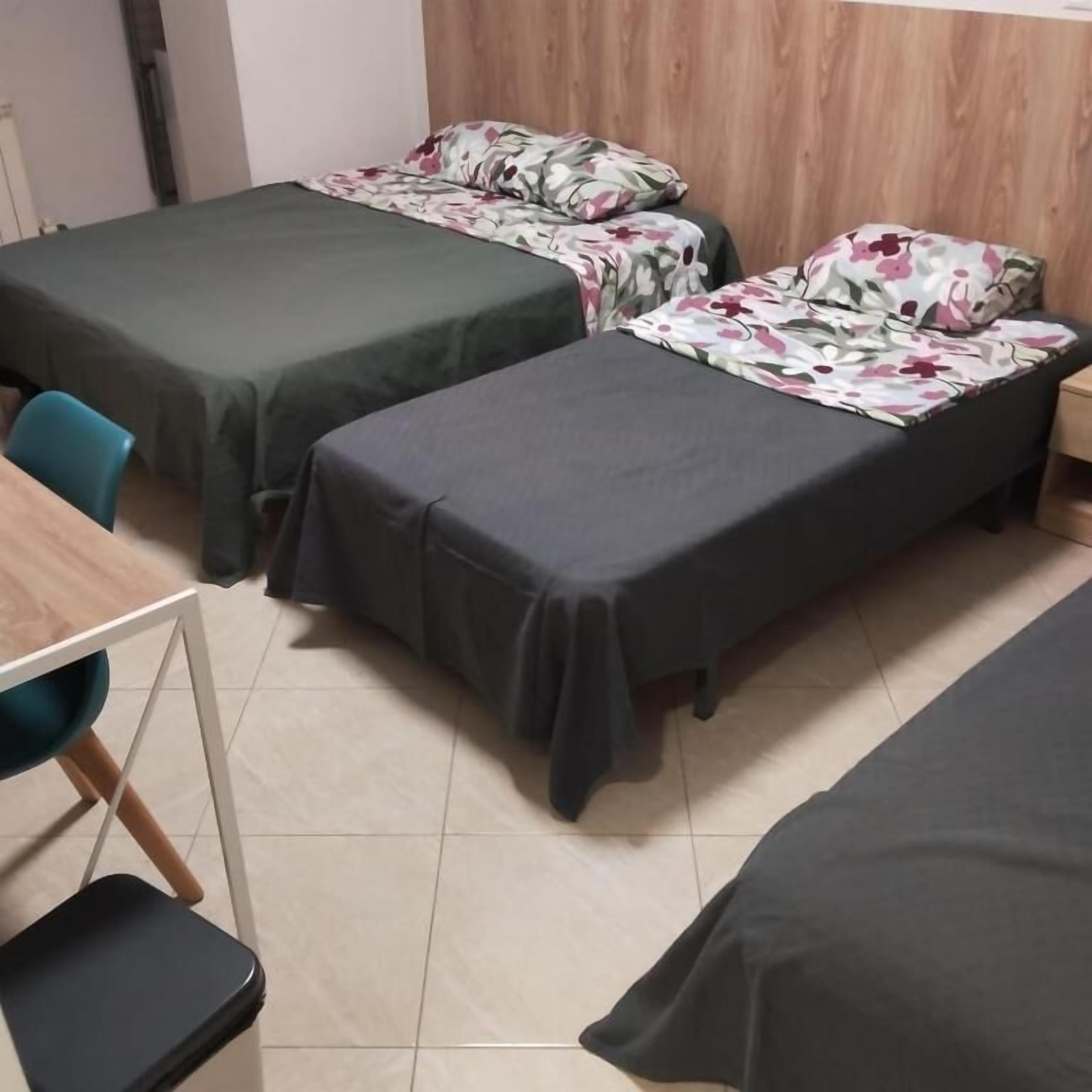 Family Studio, Multiple Beds, Non Smoking, Private Bathroom