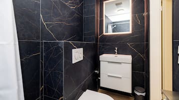 Shower, towels, soap, toilet paper