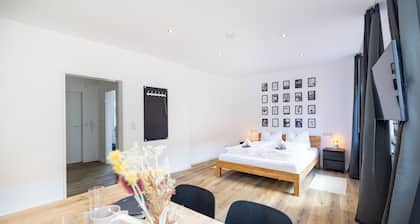 Lovely 1-bedroom apartment with rooftop terrace in Würzburg city center
